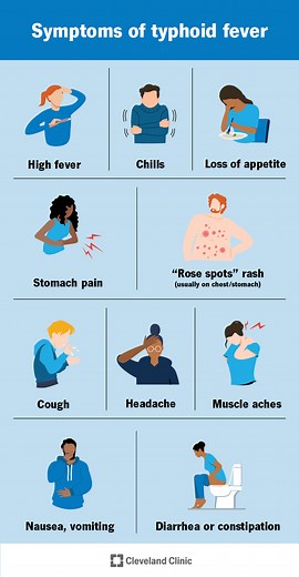 Typhoid Fever: Causes, Symptoms & Treatment
