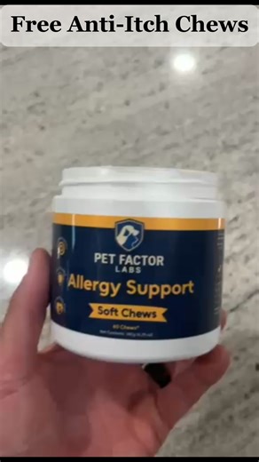 🎁 FREE Anti-Itch Chews for Dogs – Just Pay Shipping! Say goodbye to scratching, hot spots & irritated skin — naturally & permanently. ✅ Vet-Backed ✅ Targeted System: Key Ingredients to Help Reduce Itching ✅ Safe for All Breeds & Ages Thousands of dog owners are seeing real relief. 👇 Supplies are limited – Claim yours now! 🔶 [TRY IT FREE] | Pet Factor Labs
