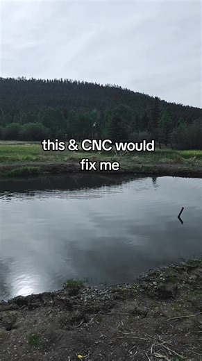 Exploring Dark Romance in Literature