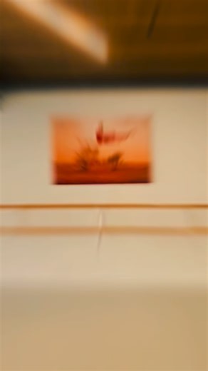 NZ Youth Ballet Co on Instagram: "All summer. Every day. No shortcuts. Dedication. Sweat. Power. Prix training isn’t glamorous, it’s relentless. Endless hours of classical, pointe, contemporary, coaching, strength & conditioning… and showing up even when the body is tired and the mind is tested. Huge gratitude to the entire team behind this journey 🤍 Costumes. Physio. Strength & conditioning. Teachers and coaches who push, support, and believe. And thank you to everyone supporting this incredib