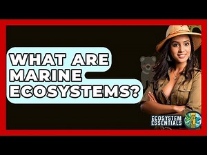 What Are Marine Ecosystems? - Ecosystem Essentials