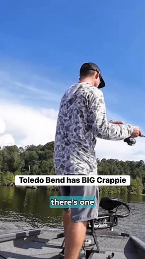 Toledo Bend Still is LOADED! #reels #crappie | Let's Fish TV