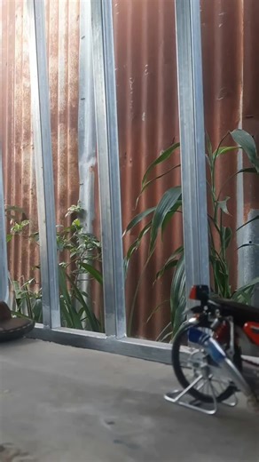 Exploring Miniature TMX 125 Motorcycle Models