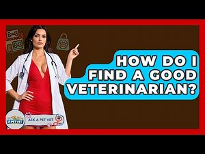 How Do I Find A Good Veterinarian? - Ask A Pet Vet