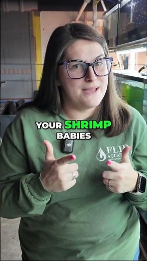 The Ultimate Aquarium Community Fish?