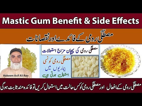 | Mastic Gum Benefit & Side Effects | Mastagi Rumi Ke Fayde Aur Nuqsaan