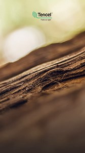 TENCEL™ fibers are produced by sourcing raw materials and having production processes sustainably and responsibly – TENCEL™ fibers are FSC® and PEFC™ certified. | TENCEL