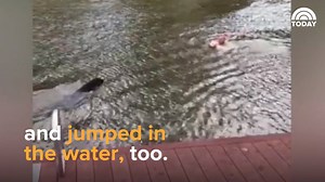812K views · 14K reactions | Watch this dog completely freak out when he thinks his owner’s drowning [SOUND ON!] | Today Show | Facebook