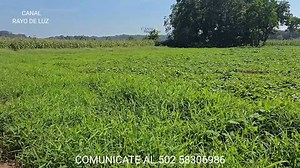 13K views · 424 reactions | Loa compañeros lo trataron mal ☹ | RAYO De LUZ | Facebook