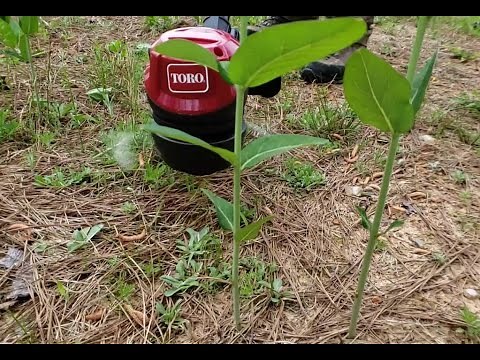 Assembling & Using the Toro 60 Volt Max String Trimmer