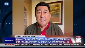 1.6K views · 29 reactions | Naniniwala ang isang dating mambabatas na may malaking epekto sa ekonomiya ng bansa ang isyu ng anomalya sa flood control projects. Kasunod iyan ng panawagan ng higit tatlumpung business group sa administrasyon na papanagutin sa lalong madaling panahon ang mga nasa likod ng naturang anomalya. | via Erica Rio Visit our YouTube Channel for more updates: https://www.youtube.com/@Newsblast.official?sub_confirmation=1 | Newsblast | Facebook