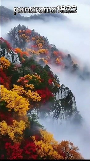 misty forest with colorful trees #shortsvideo #viralshort #panorama #beautiful