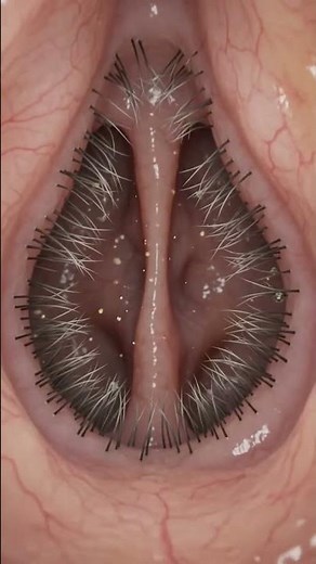 Inside Your Nose: A 3D Journey You’ve Never Seen!