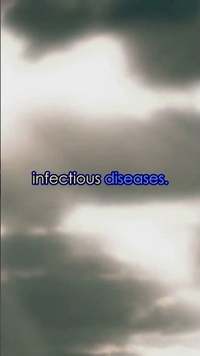 The Miraculous Message of La Salette