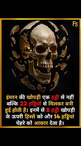 3.9K views · 3.5K reactions | Human Skull Is Made of 22 Bones! . ....