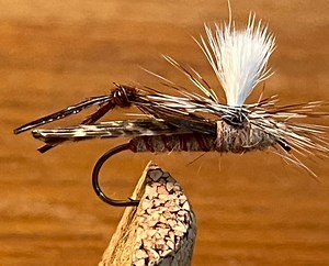 Parachute Hopper, Size 10 (2 Pack) - Etsy