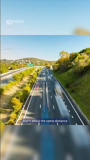 Arnie The Murray Cod Tracked Swimming 900km Along Australia’s Biggest River System | 10 News