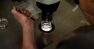 Hailing an Era of ‘Trump Babies,’ White House Unveils I.V.F. Proposals