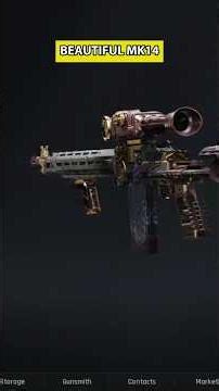 THE BEAUTIFUL AND DEFINITELY NOT EXPENSIVE MK14 BUILD | Arena Breakout Infinite