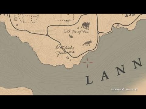 Neotropic Cormorant Location | RDR2
