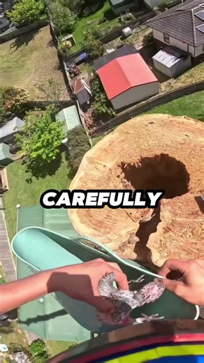 He Stopped The Chainsaw Just In Time... 😱🐣