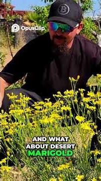 Weeds Are Secretly Building Your Soil