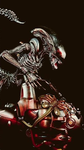 Hot Toys Scorched Alien #hottoyscollectibles