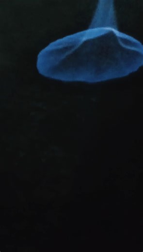 science magic trick 😱#shoorts #experiment