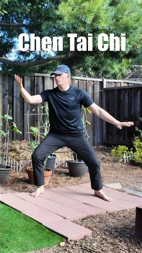 Chen Tai Chi 8 Energies Practice ✨
