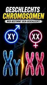 Warum werden Jungen oder Mädchen geboren? Die Antwort liegt in deinen Chromosomen!#DNA #Chromosomen