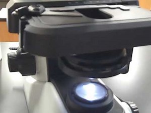 Olympus CX23