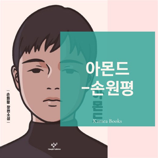 서평 아몬드 책 표지 내용 손원평 작가 청소년 도서 추천