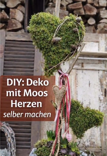 🌿 Natürlich schöne Frühlingsdeko mit Moosherzen 1️⃣ Herzformen auf Styropor oder Dämmplatte zeichnen ✏️ 2️⃣ Die Formen sauber ausschneiden 🔪 3️⃣ Frisches Moos vorbereiten und darauflegen 🌿 4️⃣ Mit Draht fixieren 5️⃣ Die Moosherzen auf einen Ast setzen und in einem Topf mit Erde oder Sand befestigen 🪵 6️⃣ Mit Schleifen, Zapfen und Frühblühern liebevoll dekorieren 🌸🎀 Materialien: 🌱 Moos aus dem Garten oder Wald 🪡 Blumendraht 💚 Styroporplatte oder Dämmplatte 🌸 Ast oder Zweig als Halterung