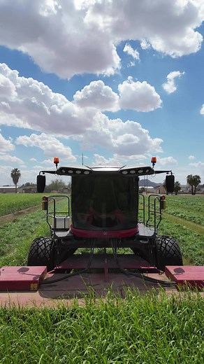 18K views · 293 reactions | Cutting Sudan grass. We grow Sudan as a rotation crop between back to back alfalfa. It’s great for the soil. #farming #farmlife #farm | Bales Hay Sales | Facebook