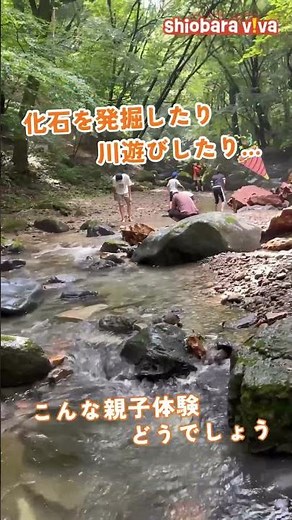 【7/4-5残席あり】昼は化石発掘、夜はホタル！てんこ盛りの夏休み宿泊体験 / Ultimate Summer Kids Camp
