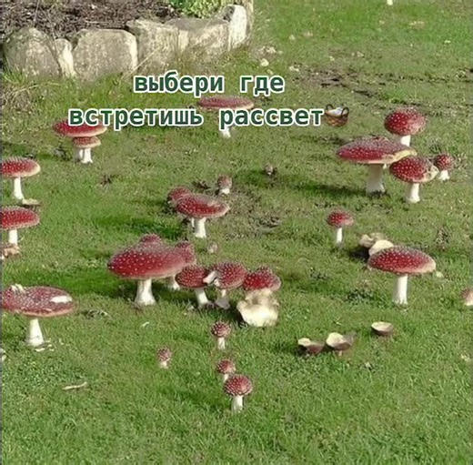 #gremlincore #goblincore #goblinslayer