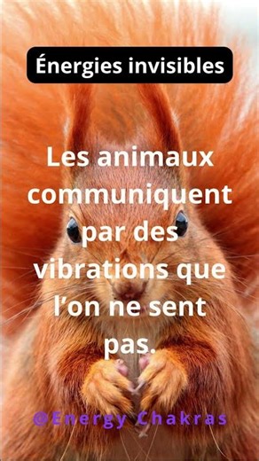 Communication animale #bienêtreanimal #animalintelligence #communicationanimale
