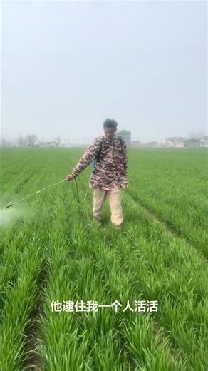 No Worries in Farming: Mastering Seed Sowing Techniques