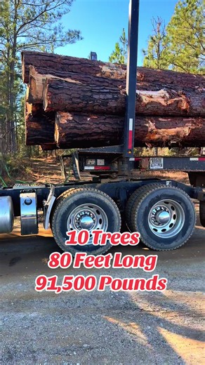 Hauling Alabama Pine: 10 Trees, 80 Feet Long
