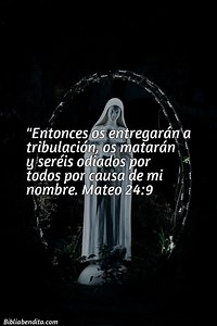 Explicación Mateo 24:9. 'Entonces os entregarán a tribulación, os matarán y seréis odiados por todos por causa de mi nombre.' - BibliaBendita