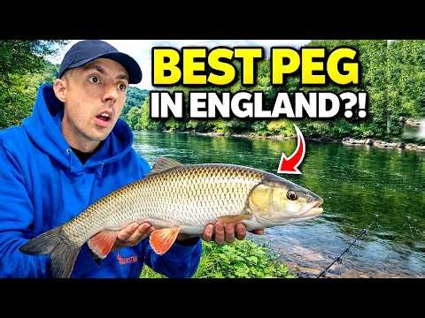 WE FISHED THE BEST RIVER PEGS IN ENGLAND!