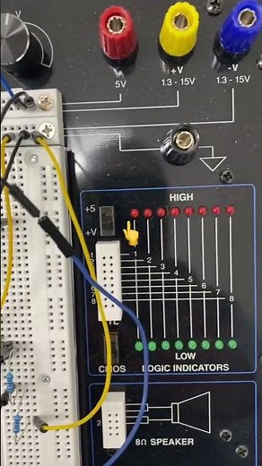DIY Biomedical Instrumentation Amplifier: Wiring on Global Specialties PROTO-BOARD PB-503