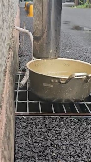 Straw water purifier