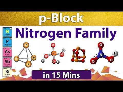 P block Elements Revision: Chemistry Class 12