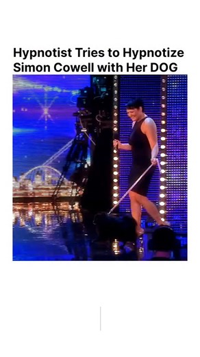 skillmodeon on Instagram: "This has to be one of the most unbelievable moments on Britain's Got Talent! The hypnotist, Krystyna Lennon, brought her dog, Princess, onto the stage claiming she could use her as a conduit to hypnotize people—and she proved it by getting an audience member and one of the producers to fall under her spell! But the real test came when she challenged the notoriously skeptical judge, Simon Cowell. Simon agrees to sit and stare into the eyes of the dog, Princess, to see i
