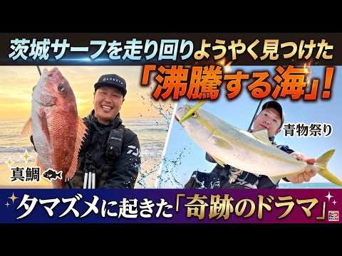 【サーフ青物】茨城の海岸を走り回り見つけた『沸騰する海』夕マズメに起きた奇跡のドラマ