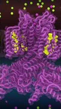 "Resting Membrane Potential Explained in Hindi | Nerve Cell Electric Current | NEET Biology Concept"