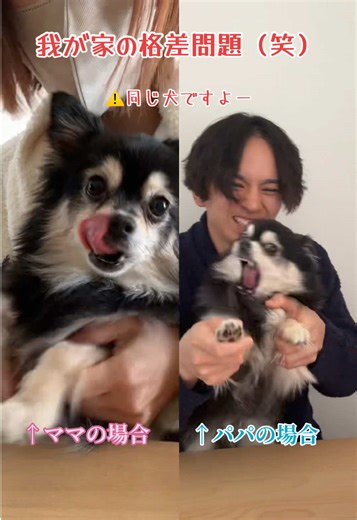 格差社会に見える同じ犬の不思議