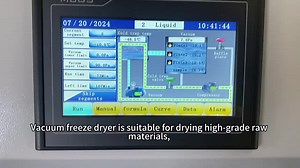 Commercial Lyophilizer Equipment Automatic Vacuum Freeze Drying Machine Freeze Dryer with PLC for Fruits Vegetables Food