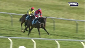 🐴 Sprinter Sacre 🐴 Simply stunning when winning his first Champion Chase by 19 lengths in 2013. In the following weeks he also won at the Aintree and Punchestown with his rating hitting 1⃣8⃣8⃣ #CheltenhamFestival #41DaysToGo #GreatFestivalMoments | Racing TV